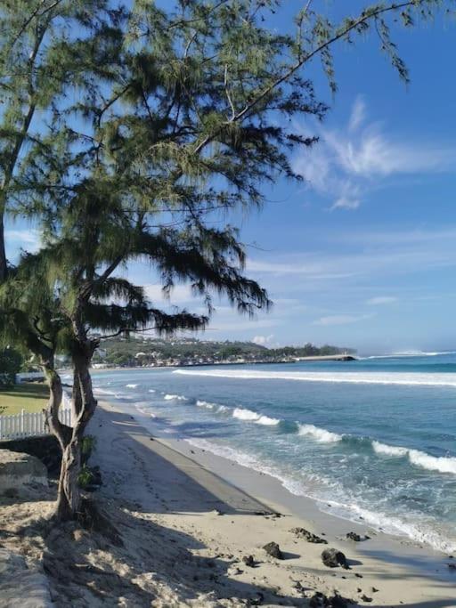 Beau T3 Litchi Vue Ocean Piscine Apartment Saint-Gilles-les-Bains Exterior photo