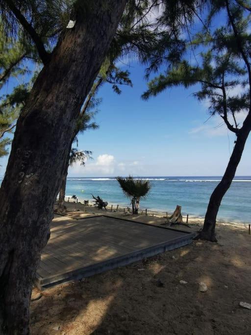 Beau T3 Litchi Vue Ocean Piscine Apartment Saint-Gilles-les-Bains Exterior photo